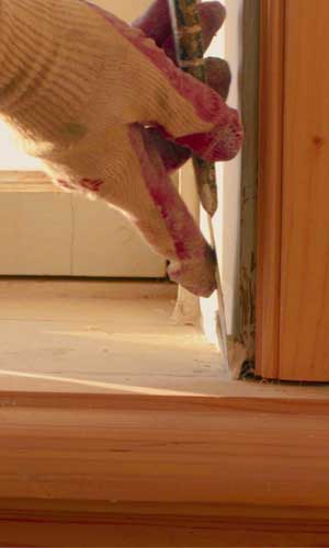 Diluyentes Y Productos Complementarios